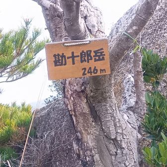 ３座目　勘十郎岳２４６㍍