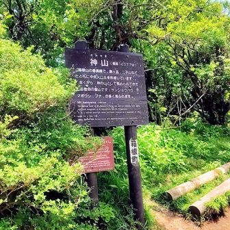 神山 標高 1438m