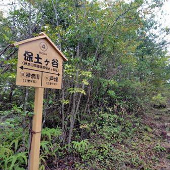 神奈川県からいつ出るのか