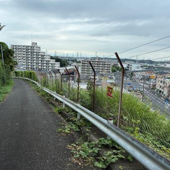 港南台側の登山口