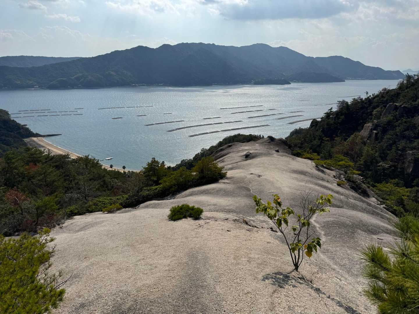 陀峯山 周回コースの写真