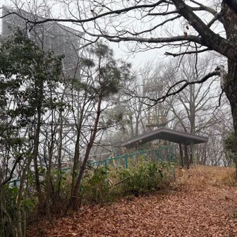 到着

大きな屋根の所でいつか山飯したいかも😍👩‍🍳