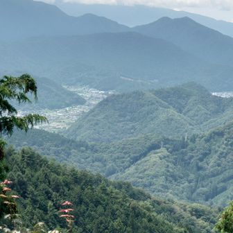 岩の先端からの眺め
