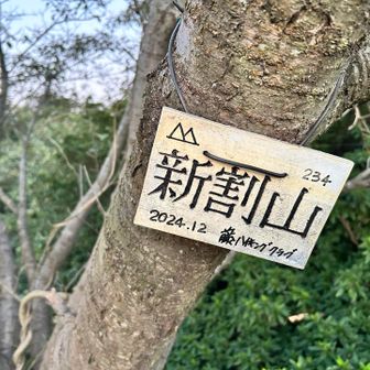 王子ガ岳