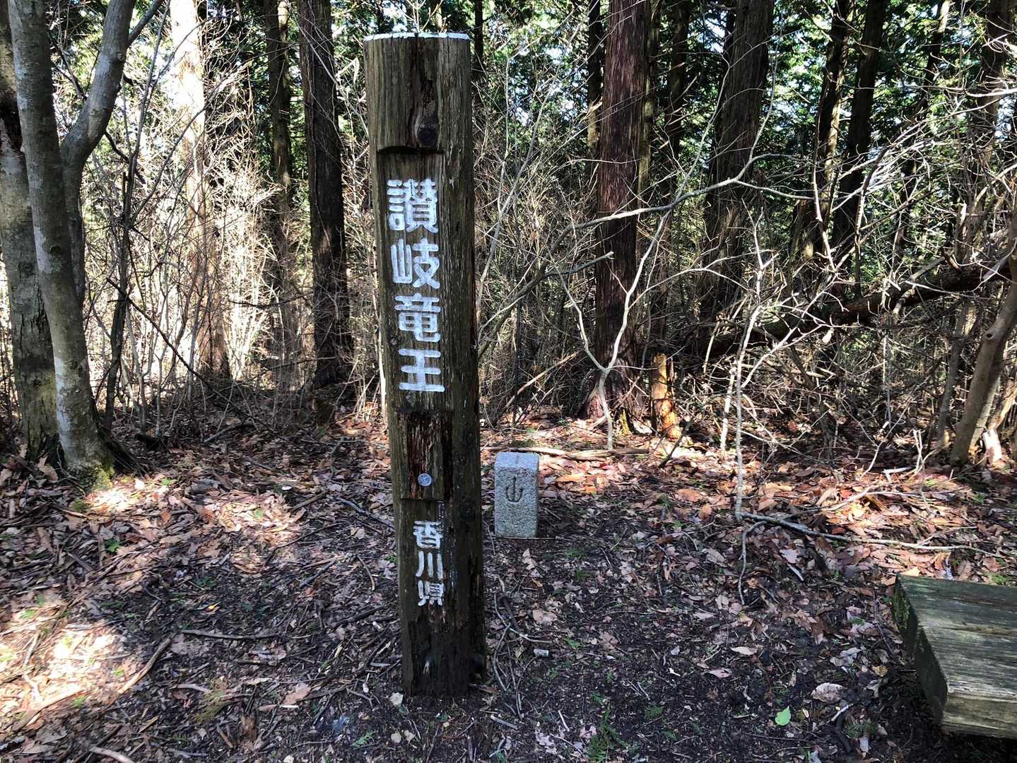 証拠写真その１「讃岐竜王」