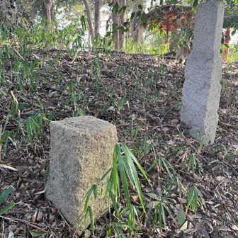 赤城山山頂〜🤲