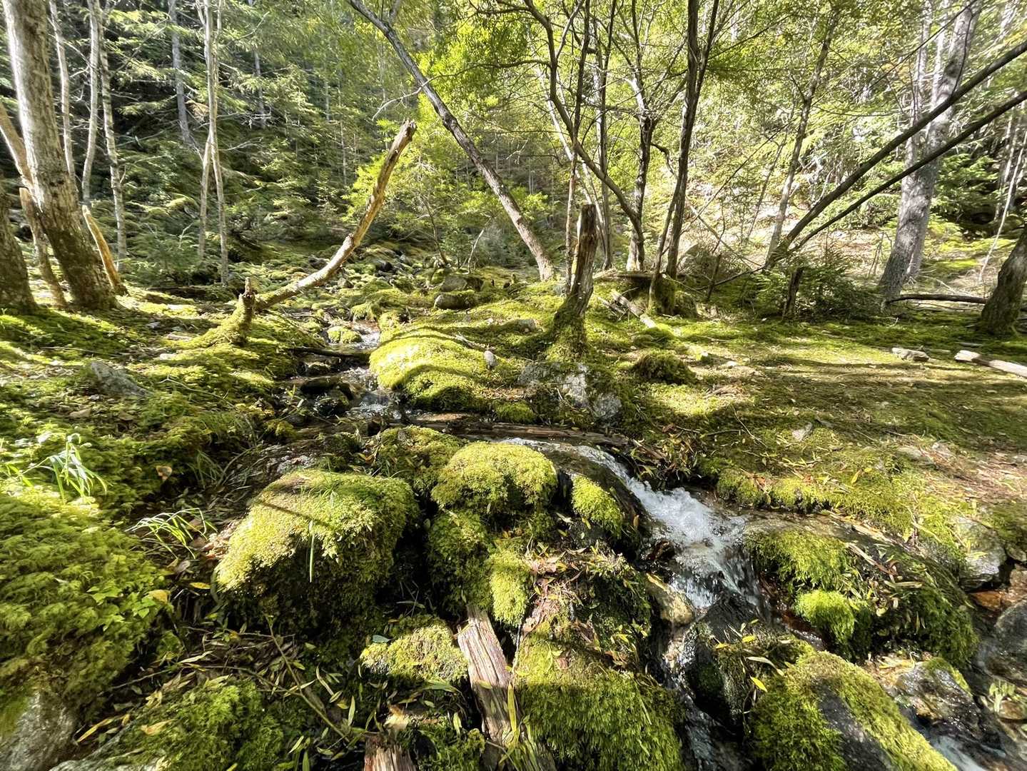 甲武信ヶ岳 周回コースの写真