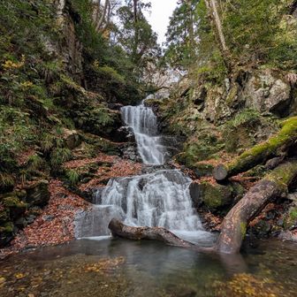 紅葉も終わって冬の装い