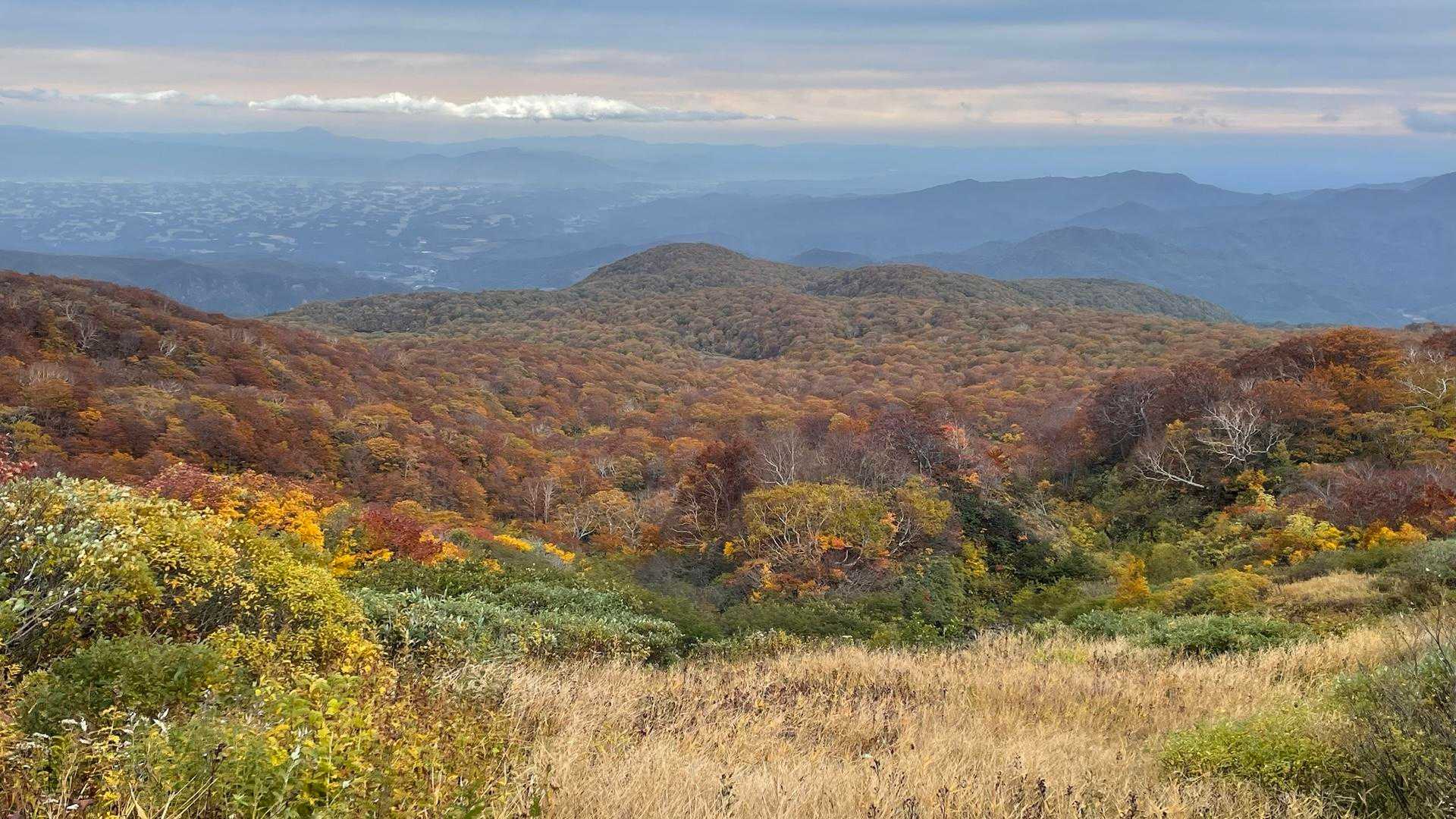 つぶ沼登山口-焼石岳 往復コースの写真