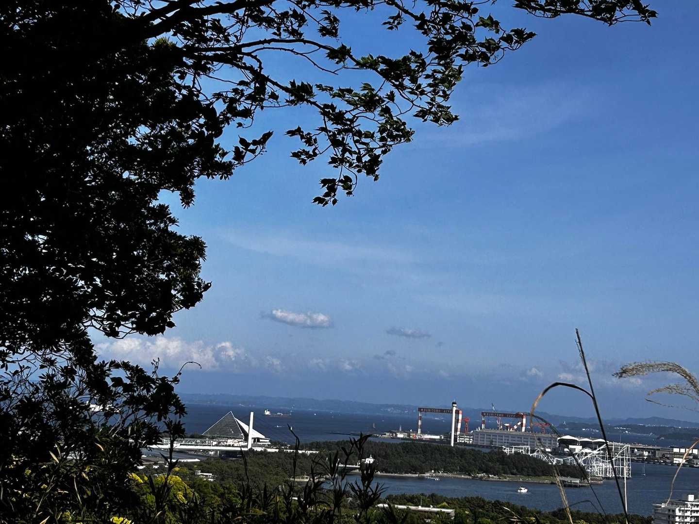 金沢文庫駅-称名寺市民の森入口-金沢山-称名寺-仁王門-称 縦走コースの写真