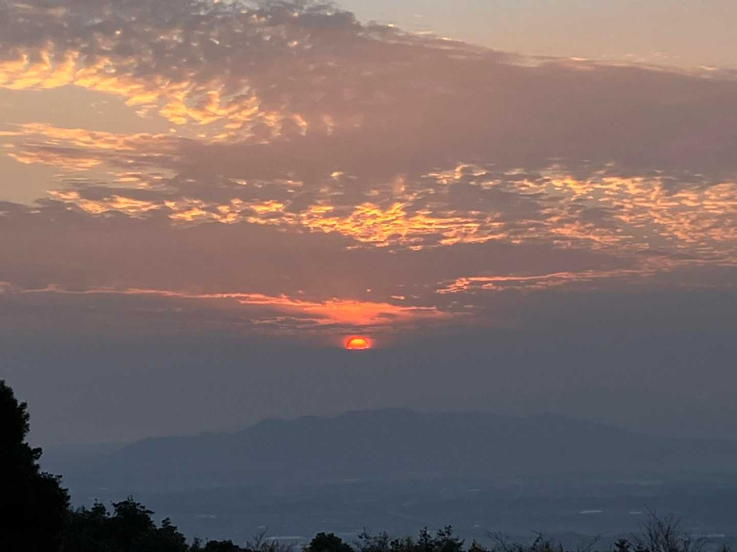 写真では伝わりにくいけど
綺麗な夕陽でした✨