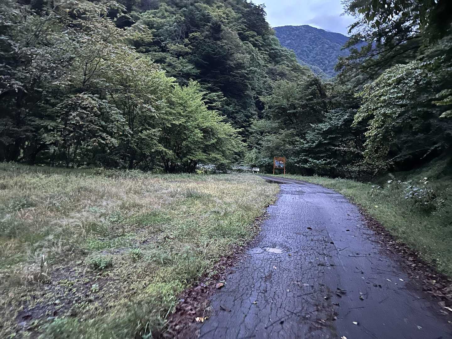 林道が5km弱