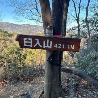 臼入山（細窪山）