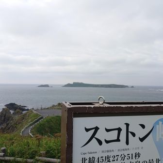あそこにはアザラシが出るらしい