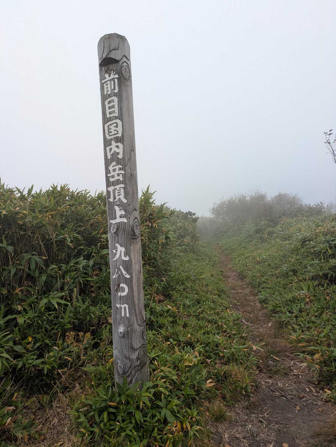 前目国内岳に到着
ガスが😢