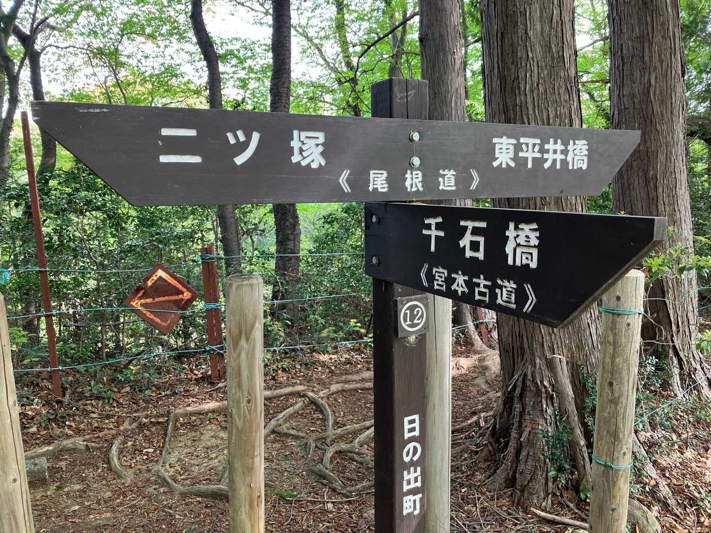 別の尾根を二ツ塚方面へ。