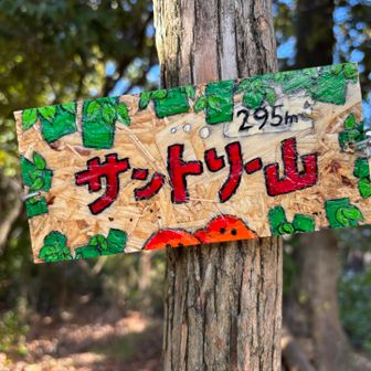 『サントリー山』登頂。🥃