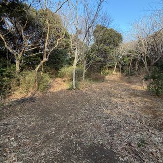 山頂辺り
写真では分かりづらいけど古墳がたくさんあります