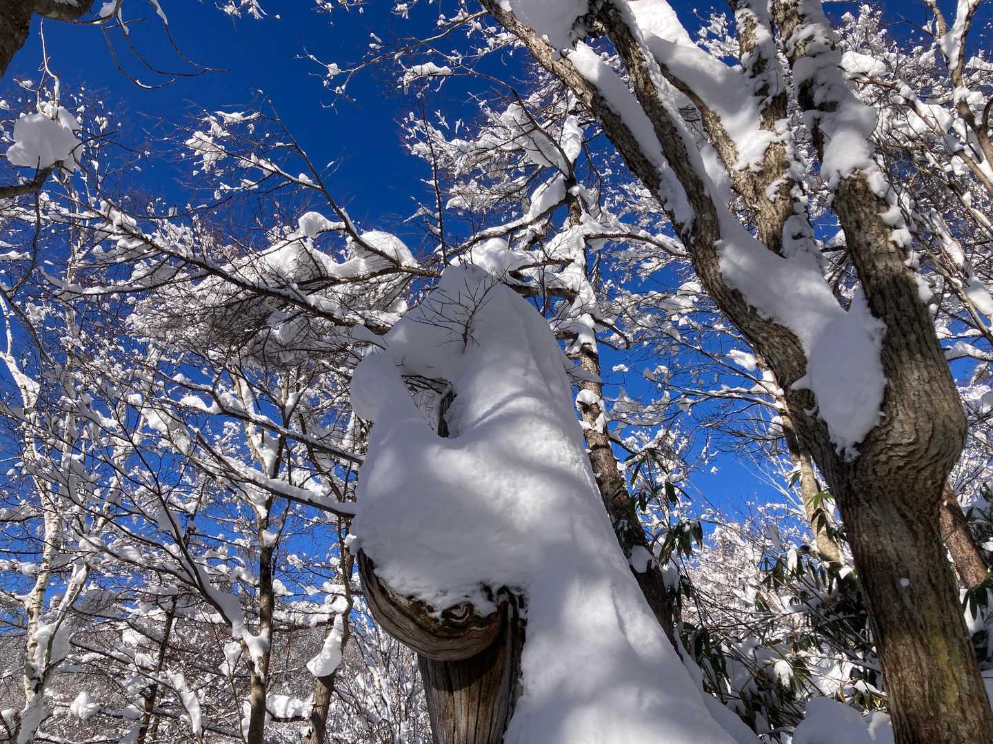天然雪像？
