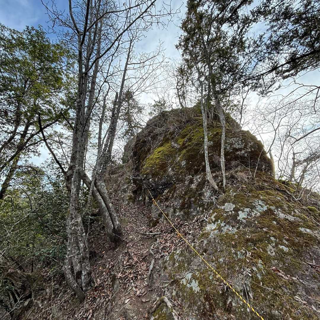 【山頂、とらえました🤩】
ここからロープと鎖です💪