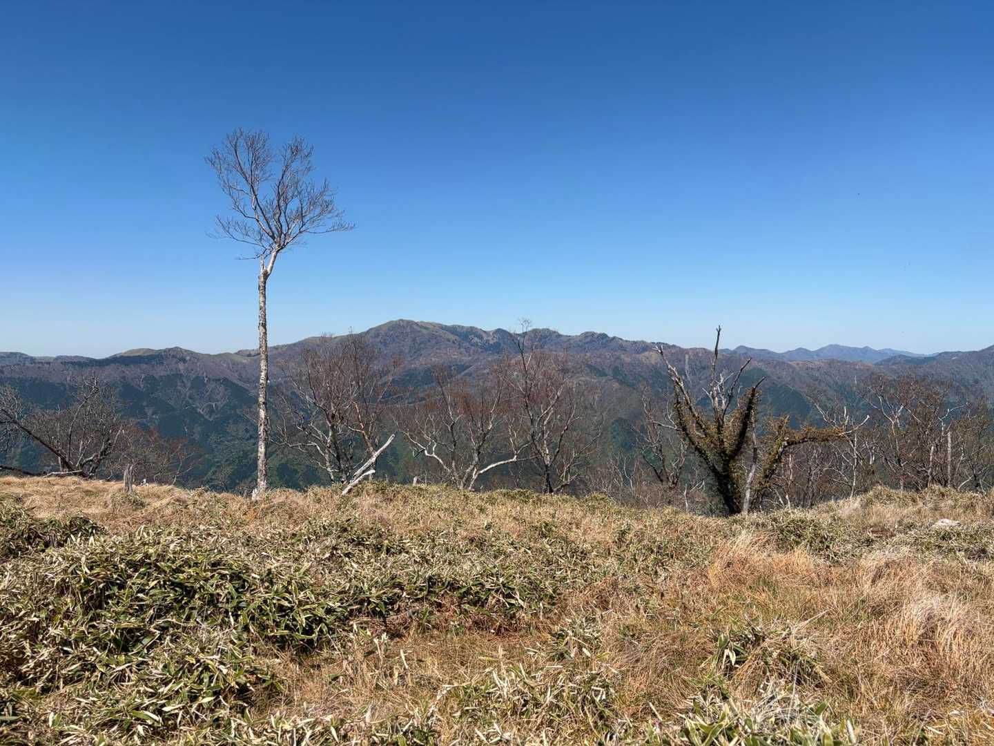 次郎くん、西三子山など✨
