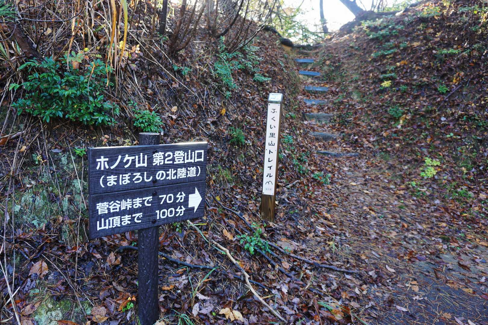 《 第2登山口 》

先週、地元の快速ハイカーお二人が歩かれ中々好評だった...
(h)