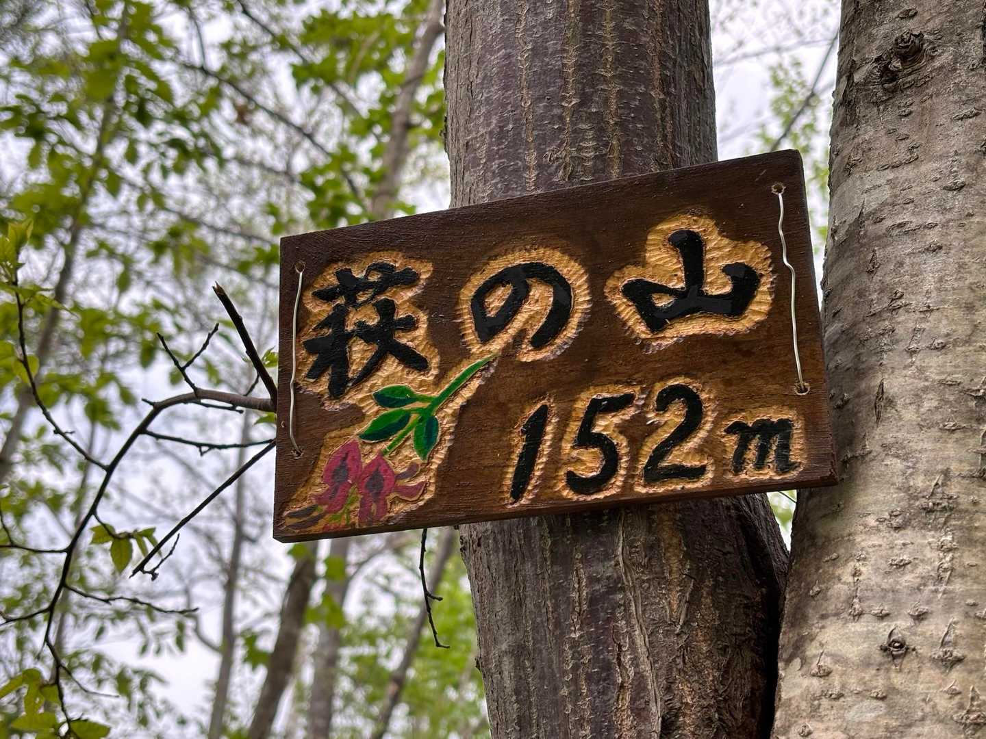 そしてピーク