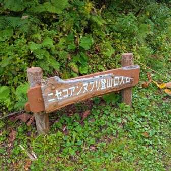 もうひと踏ん張り