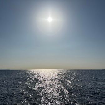 海は穏やか。
今日は暖かくてよい山歩でしたー