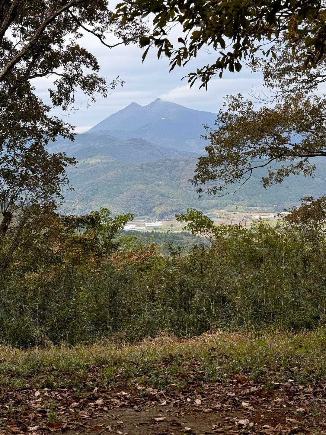 いつもの筑波山