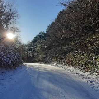 では20分ほどこのロードを歩いて帰りますが圧雪でツルツルでした😆