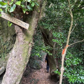 チェックストーン15m？