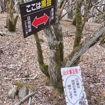 それでは先に進みます👣