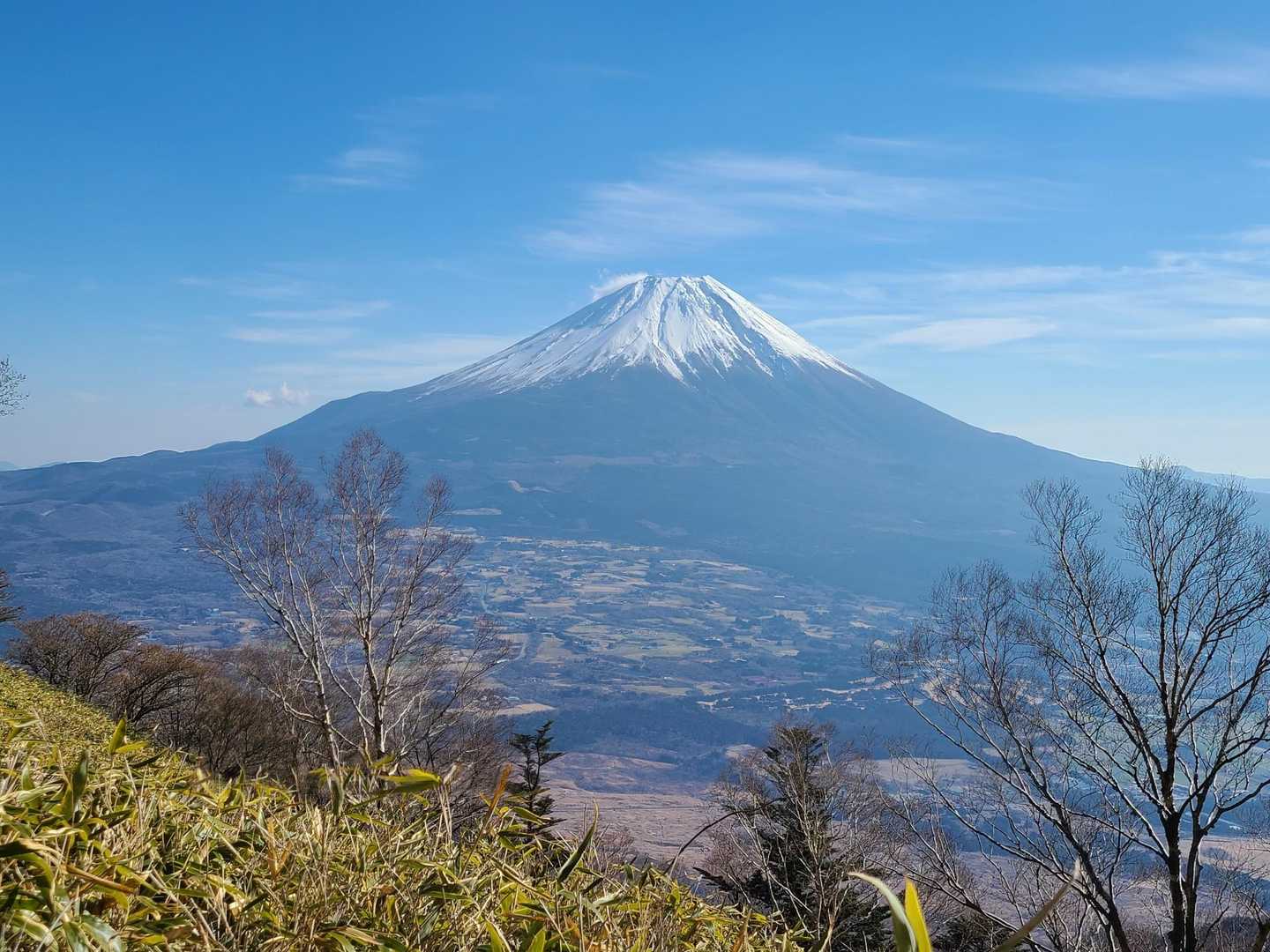 ここからも最高