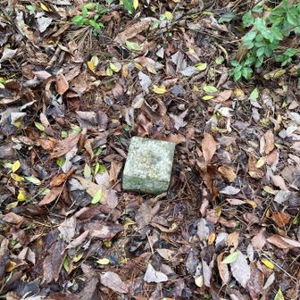 少し離れたことに三角点