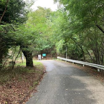 ときおり舗装路を歩きます