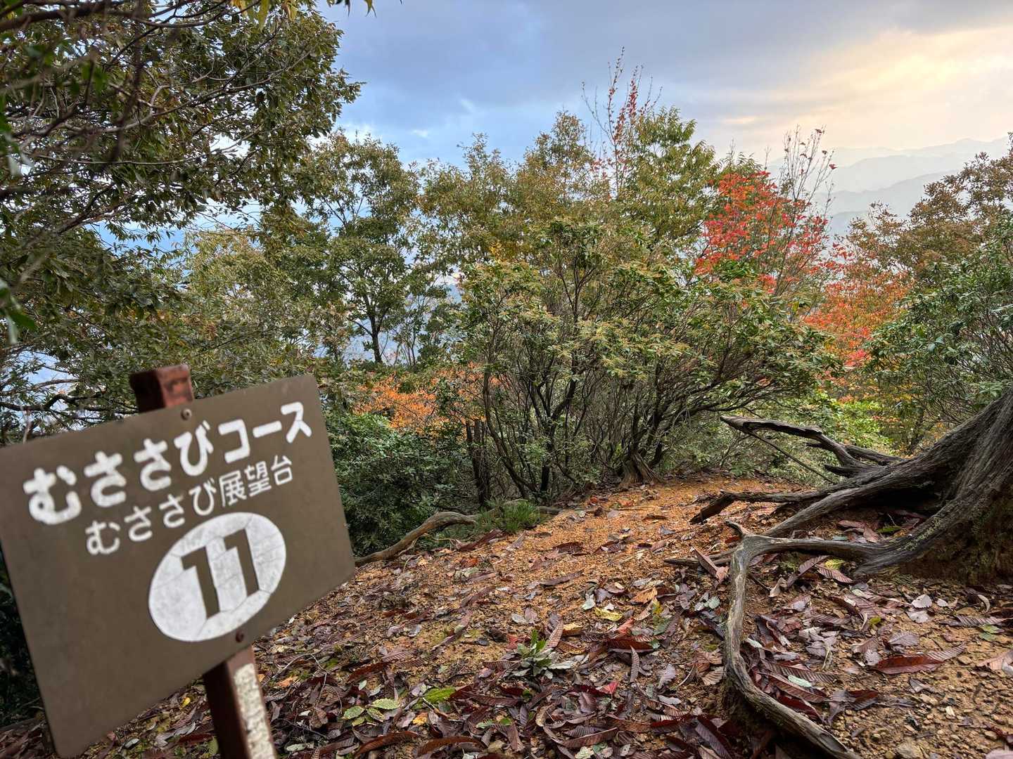 むささび展望台✨