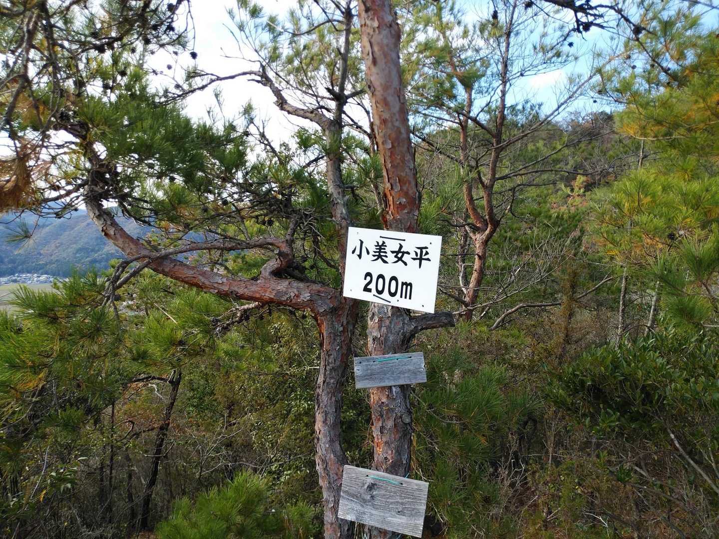 慎重に歩いて下りていましたが、落ち葉🍂で隠れた浮き石で滑って手を着きました。
転ばなくて良かったですが、すっかりテンションダウン。😖⤵️