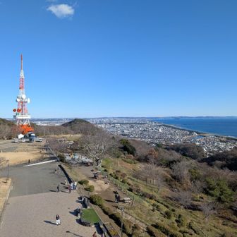 湘南平
湘南エリアと相模湾を一望
天気も良くて最高の眺め