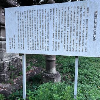 もう1箇所神社を通り帰路に着きます🅿️