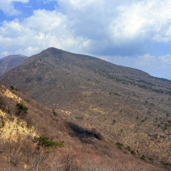 次は薪山のハズなのですが…