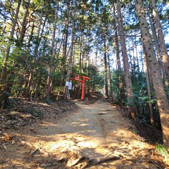 奥宮の入り口に鳥居が出来た！