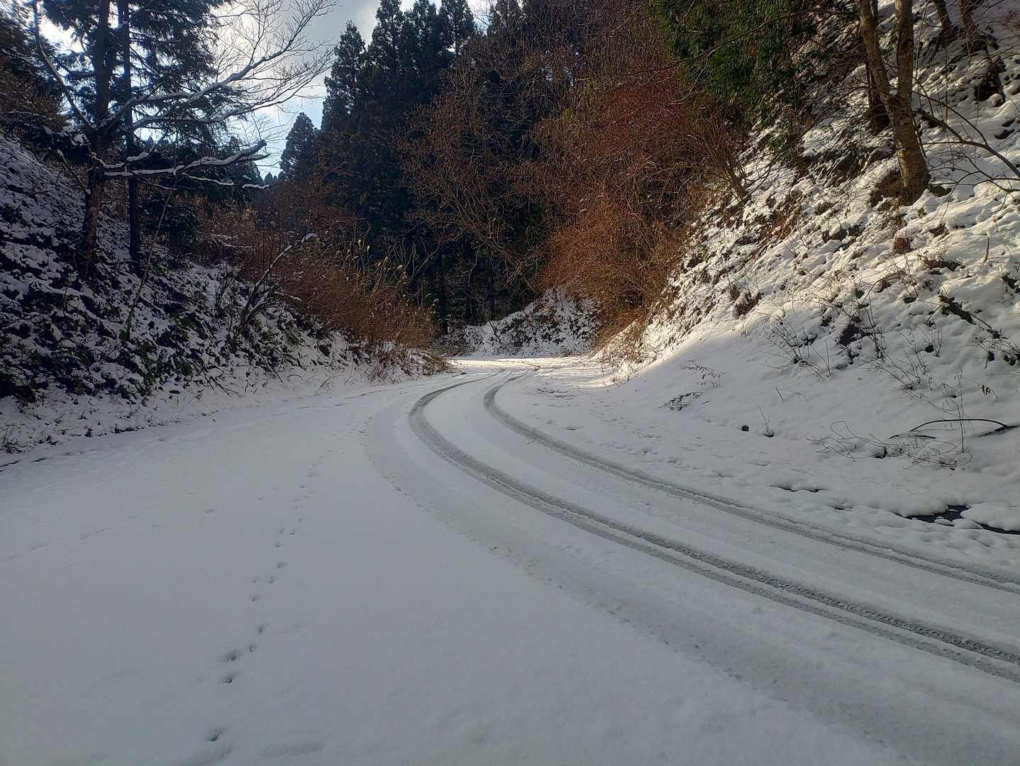 間違いながら必死に降りてきたら道に出た☺️