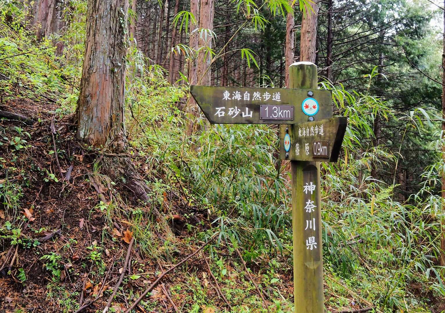 篠原バス停-石砂山 往復コースの写真