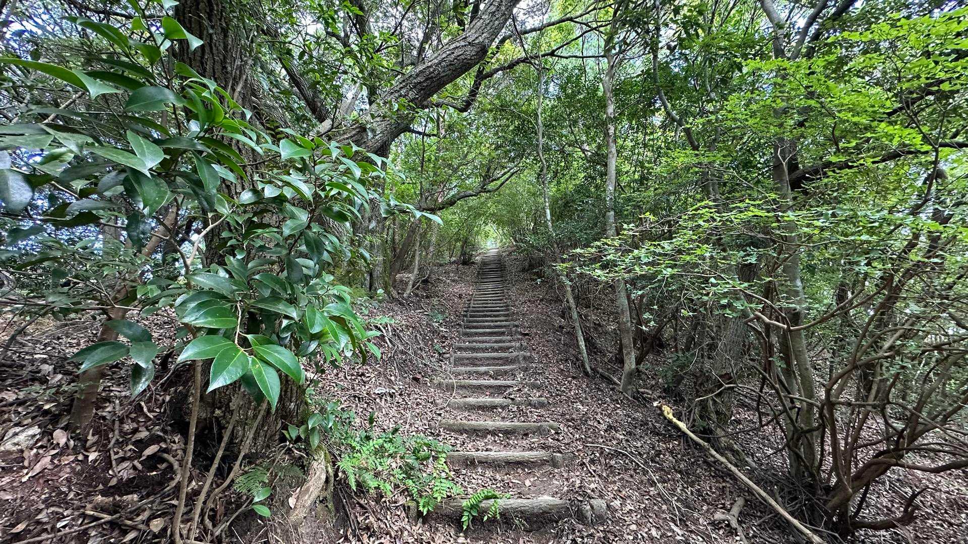 中央登山口-筒ヶ岳-観音岳 往復コースの写真