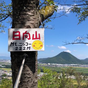 日向のツーショット