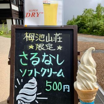 がんばった自分へのご褒美として、3人とも猿梨ソフトクリーム🍦を食べました
これがめちゃくちゃ美味しかった❗️😋
あと２本くらいはいけたかも（笑）