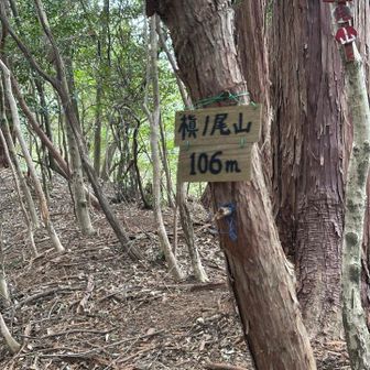 この山難易度高い、疲れてたせいもあるけど