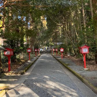 心地良い
参道歩き。