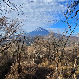 富士山ばかり見ていると　足元が危ない(笑)